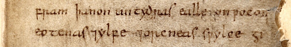 В «Беовульфе» говорится об ограх (eotenas), эльфах (ylfe) и демонах (orcneas), которых можно соотнести с толкиновскими орками, эльфами и другими расами